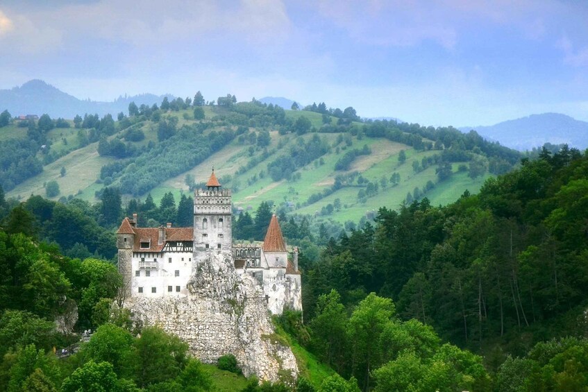 Picture 9 for Activity From Bucharest: Libearty Bear Sanctuary and Dracula's Castle