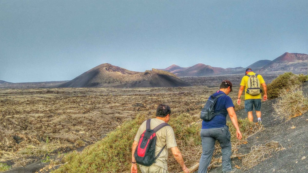 Picture 1 for Activity Lanzarote: Volcano Hike