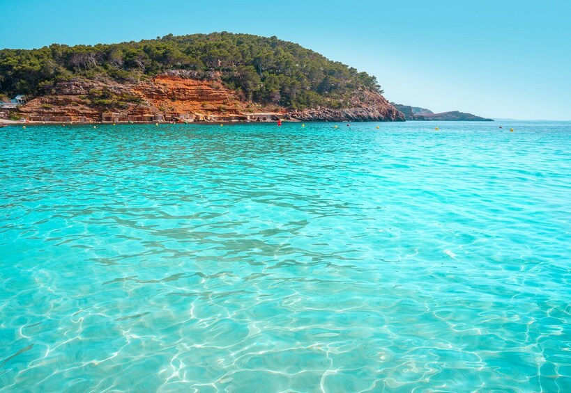 Picture 14 for Activity Ibiza: Cala Salada & North Cruise with Drinks & Snorkeling