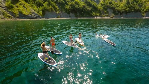 Aventure SUP : Pagayez dans la baie magique de Moon Bay