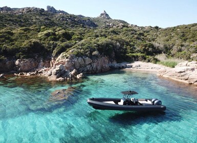 Calvi: Private Schnellboottour zu wilden Stränden mit Aperitif