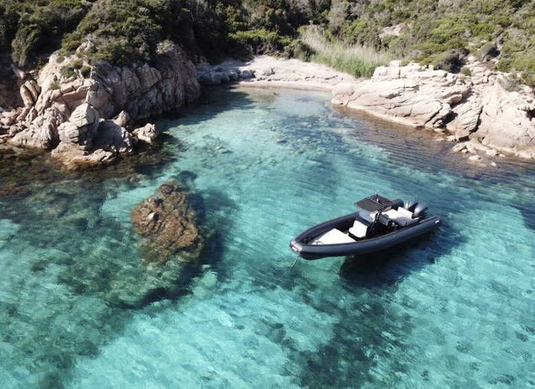 Picture 2 for Activity Calvi: Private Speedboat Tour to Wild Beaches with Aperitif