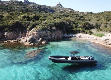 Calvi: Privat motorbåtstur till vilda stränder med aperitif