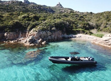 Calvi: Private Schnellboottour zu wilden Stränden mit Aperitif