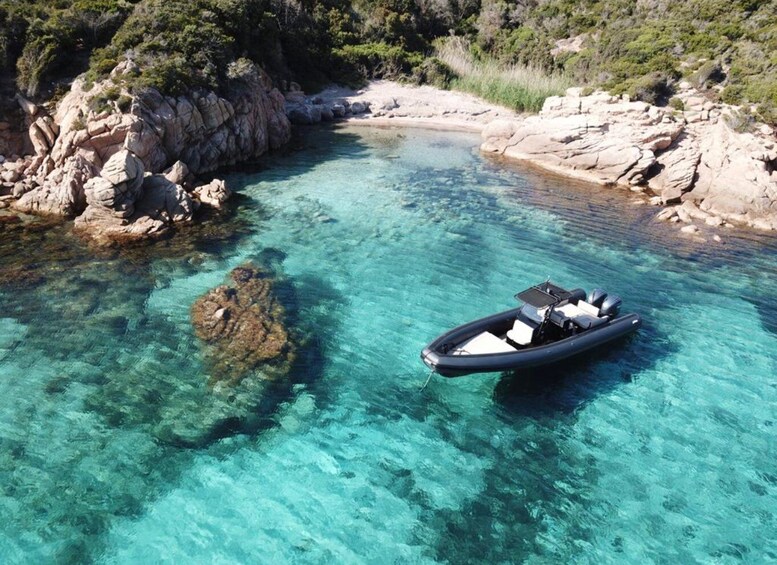 Picture 2 for Activity Calvi: Private Speedboat Tour to Wild Beaches with Aperitif