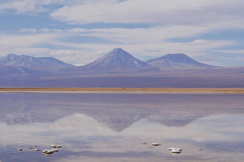 Tour to Laguna Cejar, Ojos del Salar and Laguna Tebinquiche