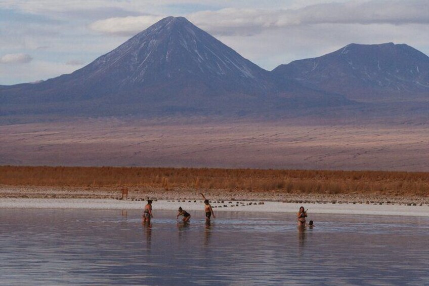 Tour to Laguna Cejar, Ojos del Salar and Laguna Tebinquiche