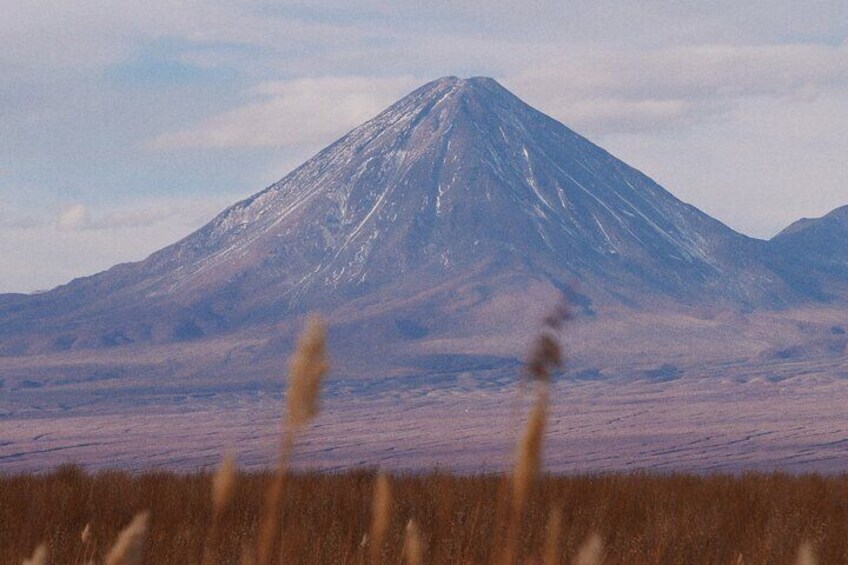 Tour to Laguna Cejar, Ojos del Salar and Laguna Tebinquiche