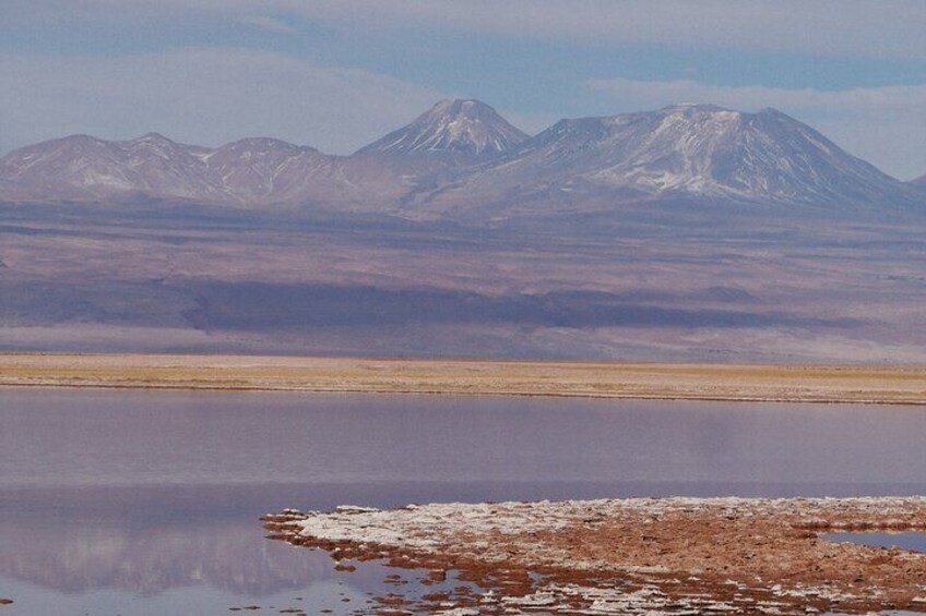 Tour to Laguna Cejar, Ojos del Salar and Laguna Tebinquiche