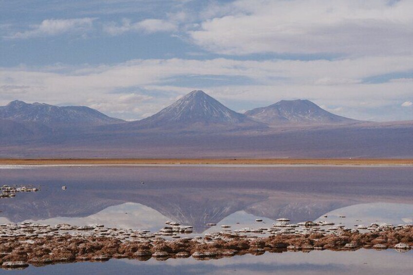 Tour to Laguna Cejar, Ojos del Salar and Laguna Tebinquiche
