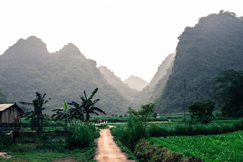 Picture 5 for Activity From Hanoi: 4-Day Panorama Of Ha Giang Guided Private Tour