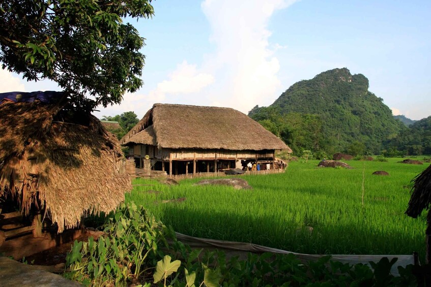 Picture 2 for Activity From Hanoi: 4-Day Panorama Of Ha Giang Guided Private Tour
