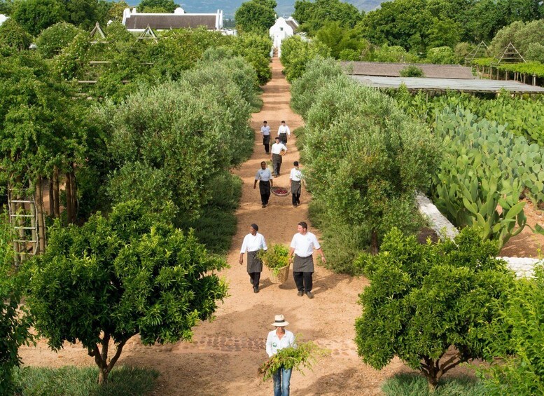 Picture 8 for Activity Cape Town: Half-Day Wineries and Tastings Small Group Tour