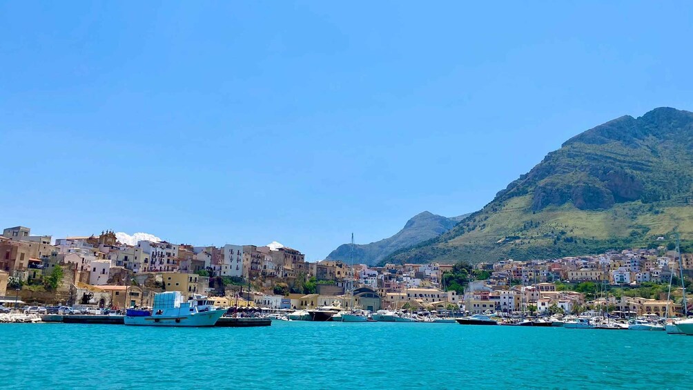 Picture 3 for Activity Castellammare del Golfo: Snorkeling Cruise Day Trip