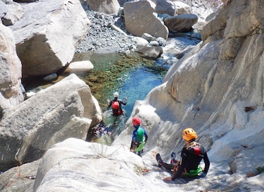 Champdepraz: Torrente Chalamy Familienfreundliche Canyoning Tour