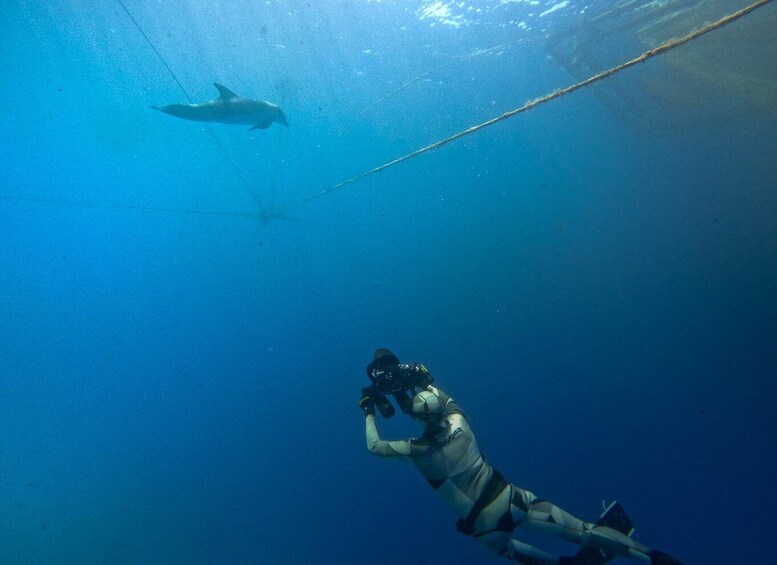 Picture 3 for Activity Kamiros Skala: Marine Life Experience by Boat