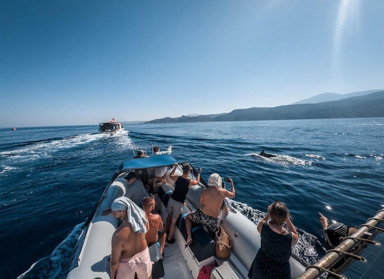 Picture 7 for Activity Kamiros Skala: Marine Life Experience by Boat