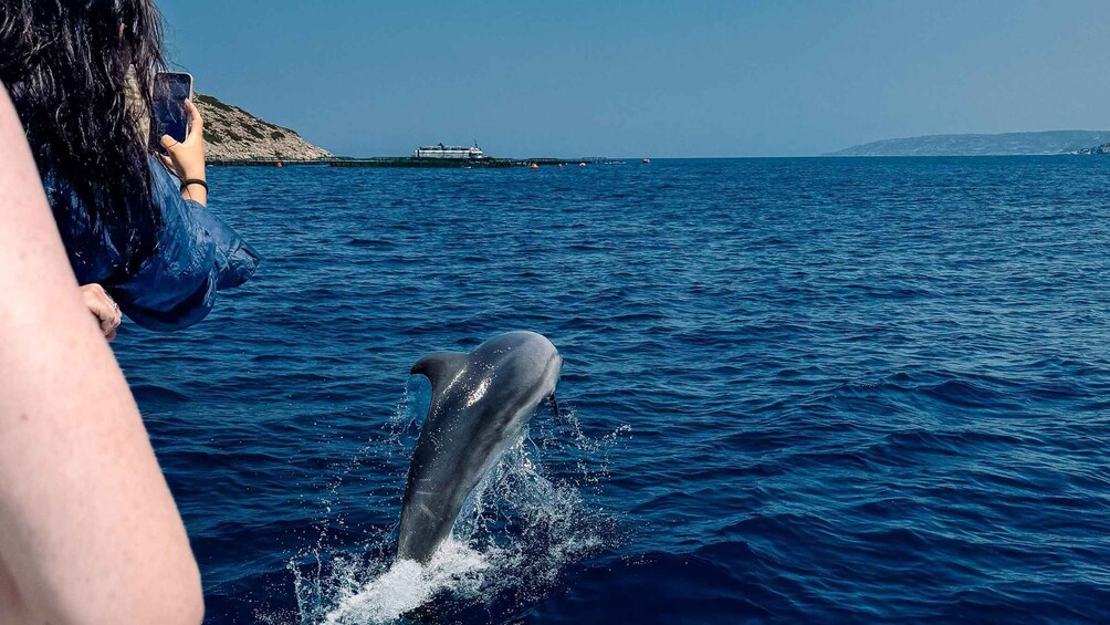 Picture 8 for Activity Kamiros Skala: Marine Life Experience by Boat