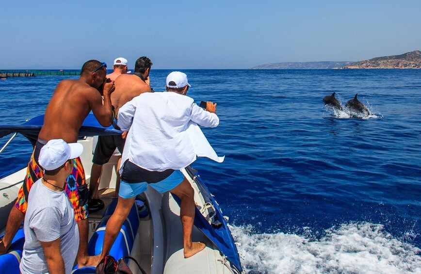 Picture 2 for Activity Kamiros Skala: Marine Life Experience by Boat