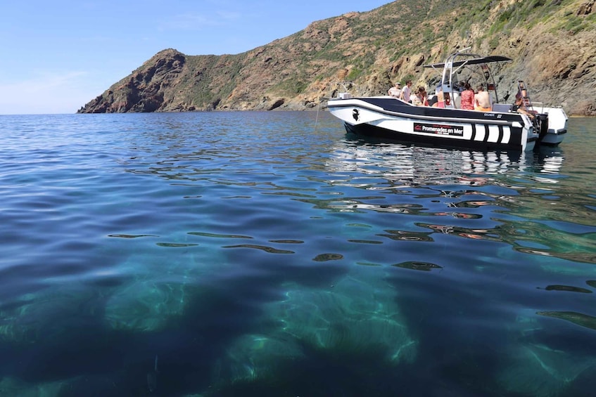 Calvi: Scandola and Piana Guided Boat Trip with Snorkeling