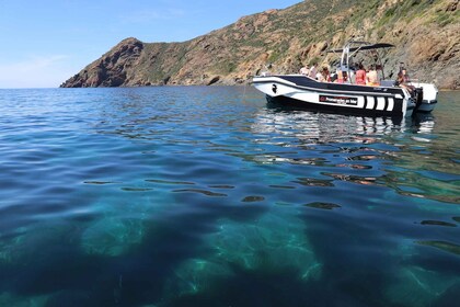 Calvi : visite guidée en bateau de Scandola et Piana