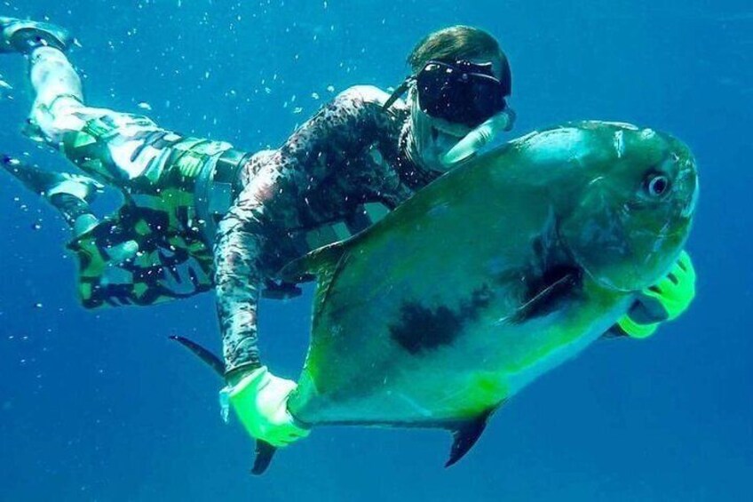 Spearfishing in Tulum or Playa del Carmen