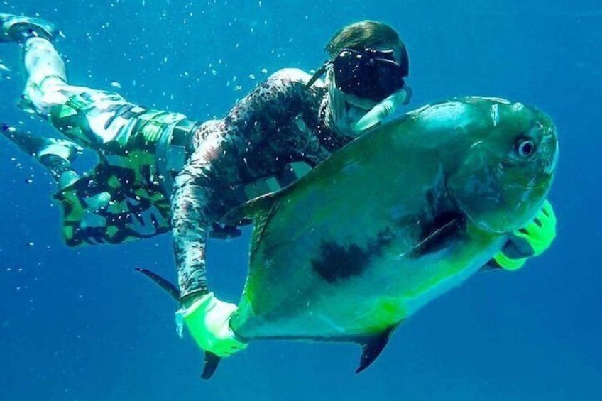 Spearfishing in Tulum or Playa del Carmen