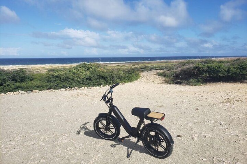 Ebike Rentals in Aruba