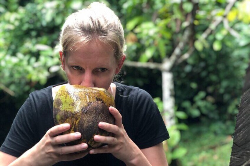 client takin g a coconut break after killing the canopy walkway