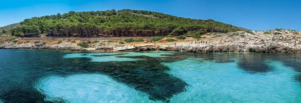 Picture 8 for Activity From Trapani: Egadi Islands Day Tour by Boat