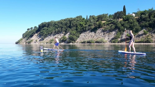 Excursión en SUP: Explorando la costa de Debeli Rtic