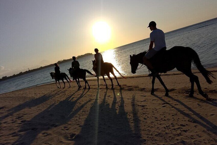 Horse Ride On The Beach Gili Islands