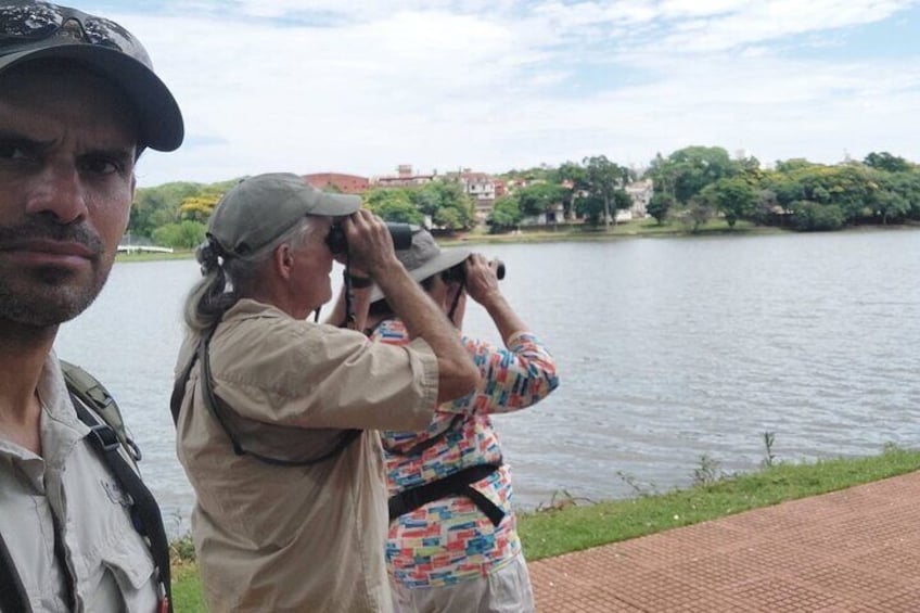 Birding Iguazu Explorer Private Tour