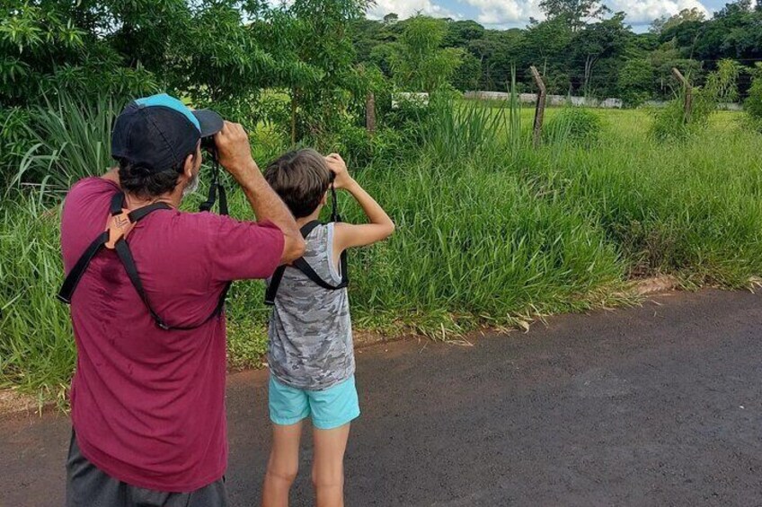 Birding Iguazu Explorer Private Tour