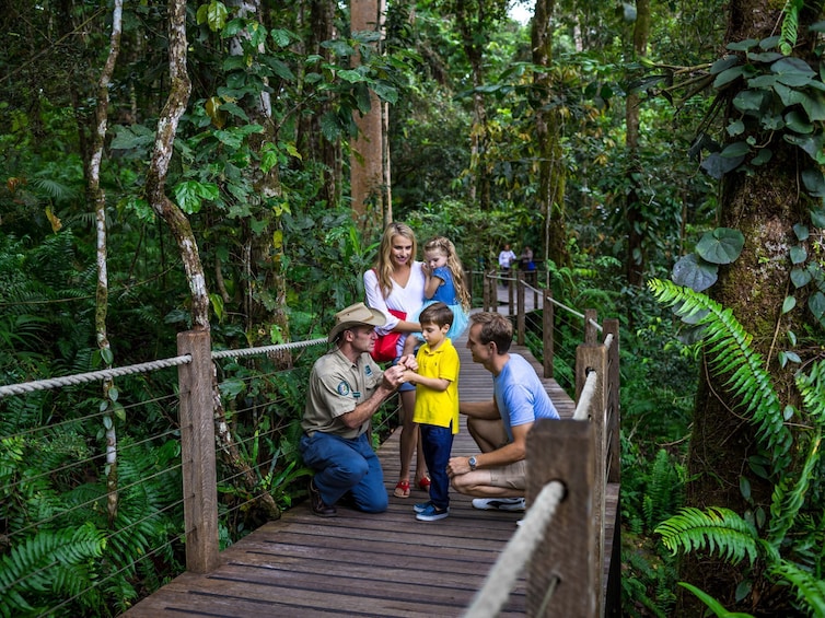 Kuranda Skyrail & Scenic Rail Tour from Palm Cove or Trinity Beach 