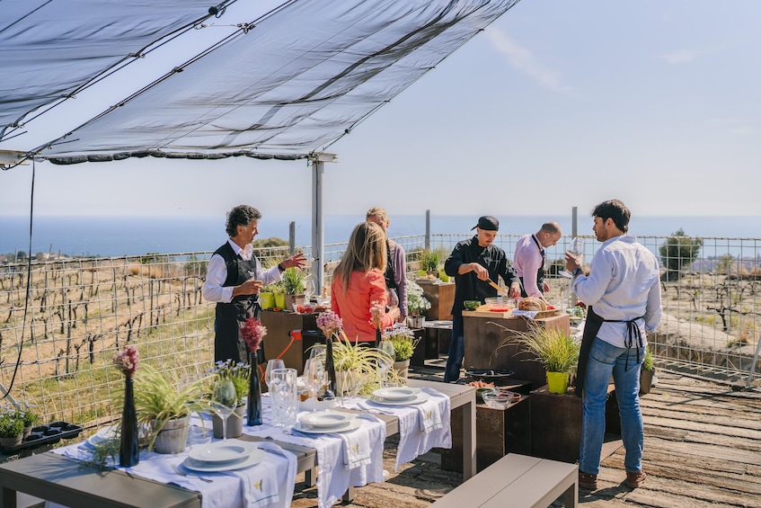 Paella Cooking Experience with Sea View & Winery Tour from Barcelona