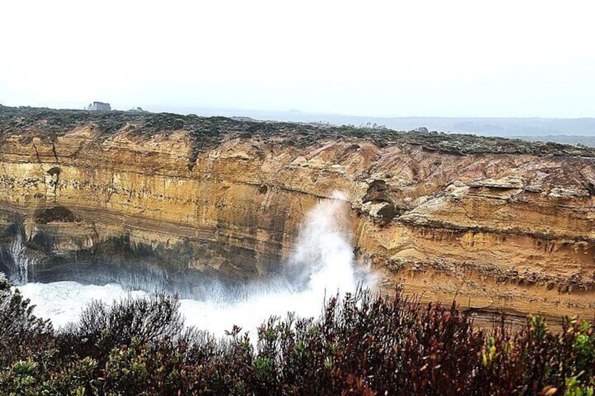 Great Ocean Road Tour Luxury Small Group - Max 11 Passengers