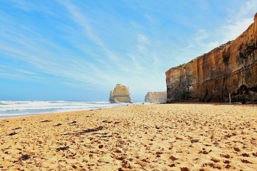 Private Great Ocean Road 1 Day Tour - up to 11