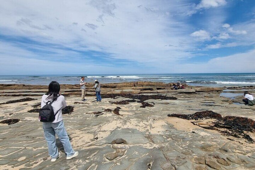 Luxury Great Ocean Road Tour - Max 11 with Door to Door Pickup