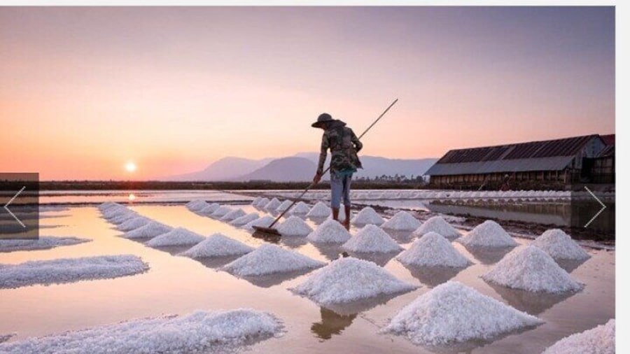 KAMPOT TRAVEL-Pepper farm. Cave.Secret lake-Crab market & Salt...