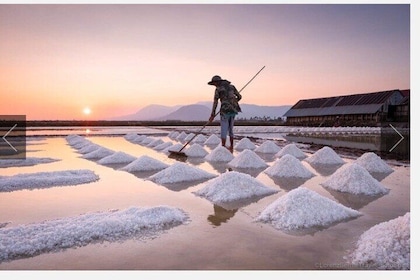 KAMPOT TRAVEL-Pepper farm. Cave.Secret lake-Crab market & Salt...