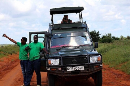 Safari d'une journée à Tsavo Est