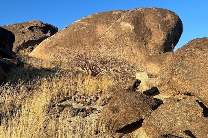 Moon Valley Hike from Jeddah City