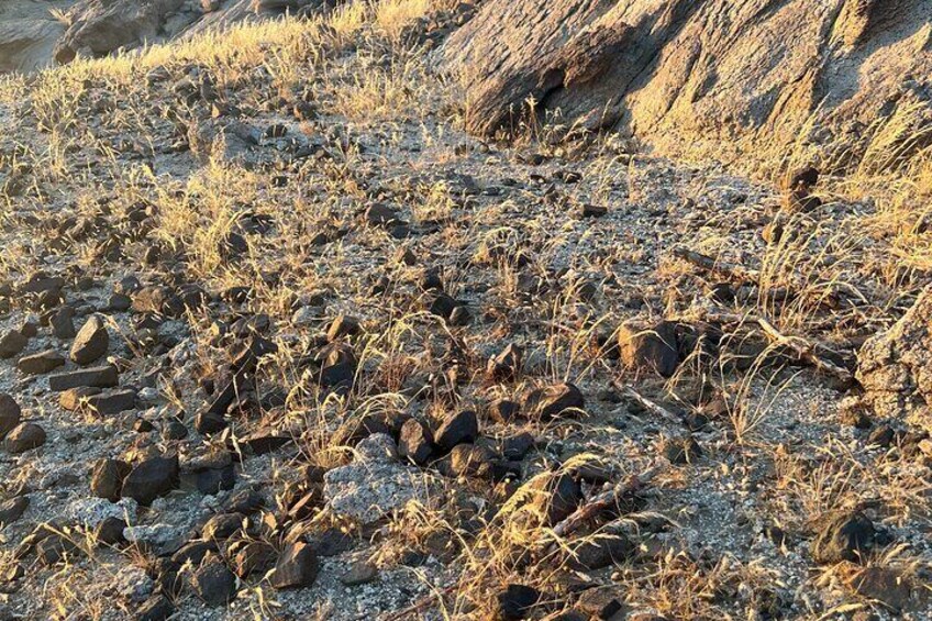 Moon Valley Hike from Jeddah City