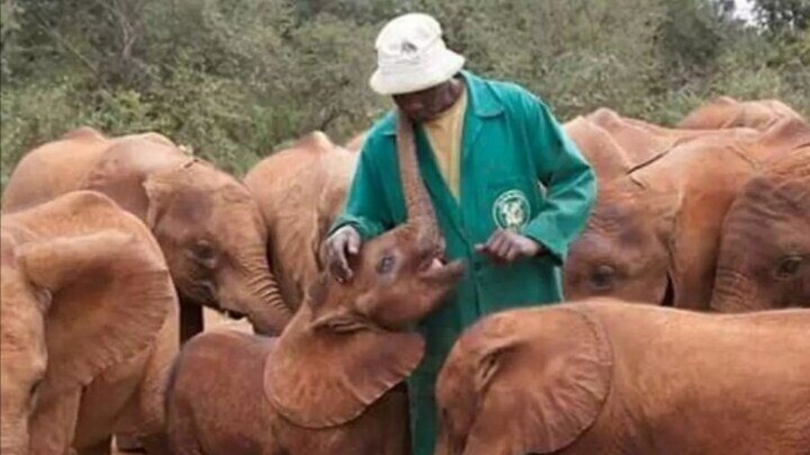 David shedrick trust feeding time