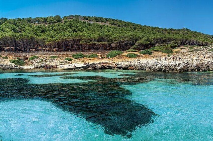 Private Maxi Rib Day Tour in Favignana and Levanzo