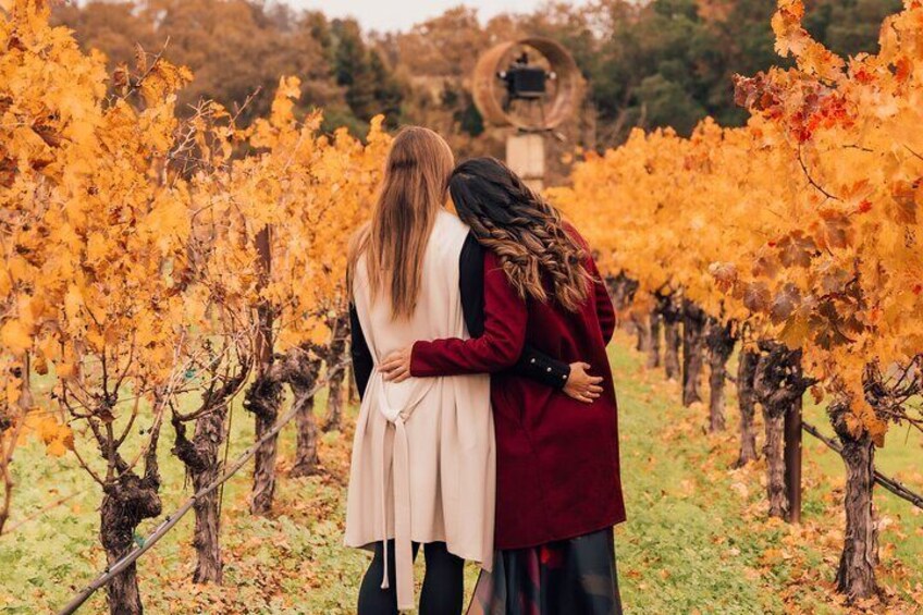 Private Professional Vacation Photoshoot in Napa