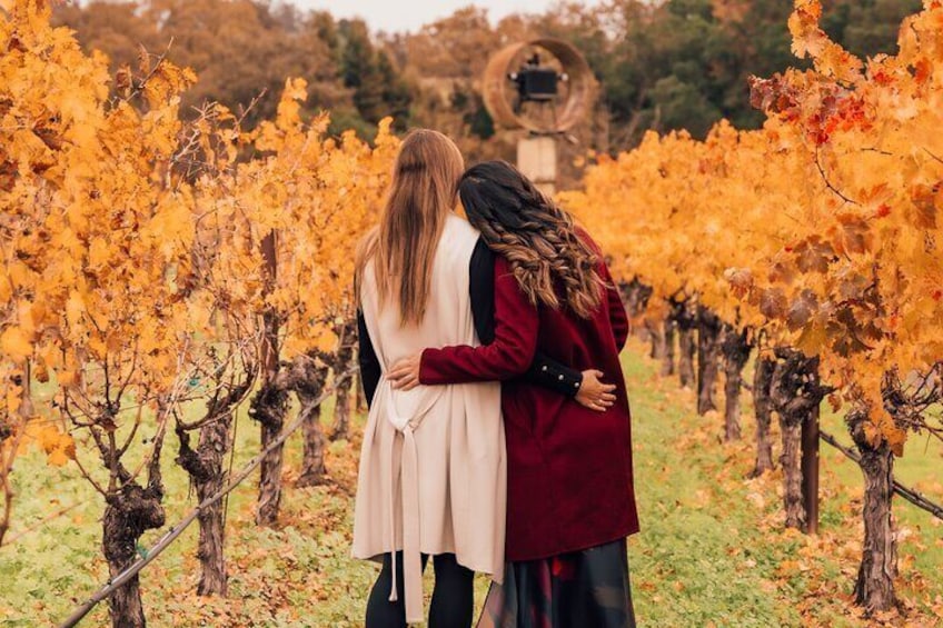 Private Professional Vacation Photoshoot in Napa