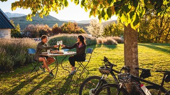 Bike The Wineries Half-Day Self-Guided Tour