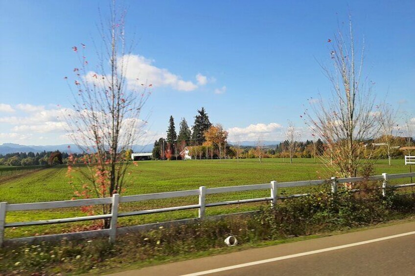 Idyllic Willamette Valley